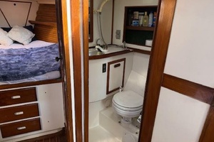 WILD THING 44ft Morgan Yacht For Sale