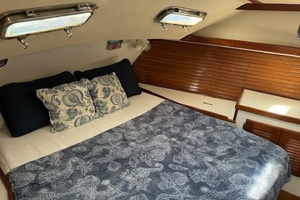 WILD THING 44ft Morgan Yacht For Sale