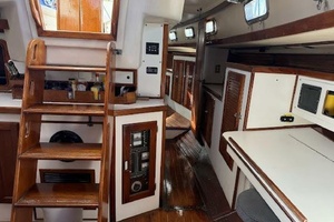 WILD THING 44ft Morgan Yacht For Sale