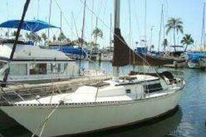 1981 Newport C and C Sloop thumbnail 1