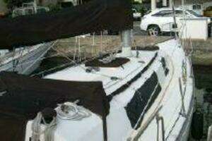 1981 Newport C and C Sloop thumbnail 4