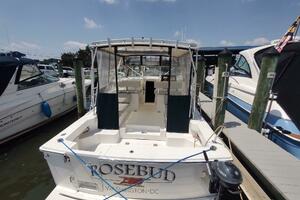 Rosebud 34ft Mainship Yacht For Sale