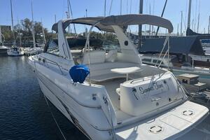 Sea Ray 310 Sundancer