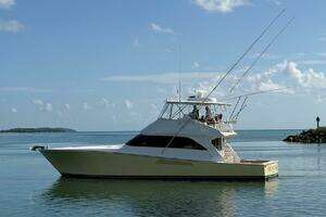 2004 Viking 56 Convertible thumbnail 7