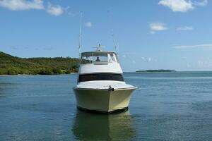 2004 Viking 56 Convertible thumbnail 4