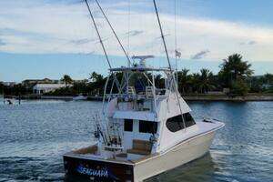  2017 Ronin  Yacht For Sale in Punta Cana 