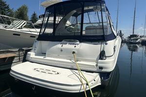 Liquid Therapy 32ft Sea Ray Yacht For Sale