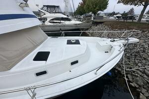 LUCKY DOG 39ft Mainship Yacht For Sale