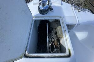LUCKY DOG 39ft Mainship Yacht For Sale