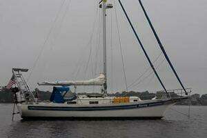 1989 Bayfield thumbnail 5