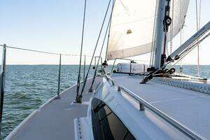 2023 Catalina 425 thumbnail 51