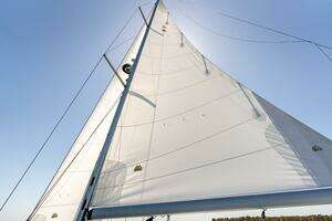 2023 Catalina 425 thumbnail 49