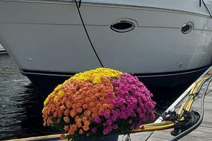 36ft Carver Yacht For Sale