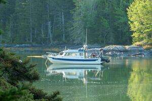 SEA CHANGE 25ft C Dory Yacht For Sale