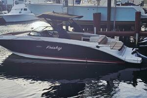 Frisky 29ft Sea Ray Yacht For Sale