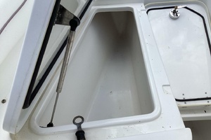 27ft Sea Hunt Yacht For Sale