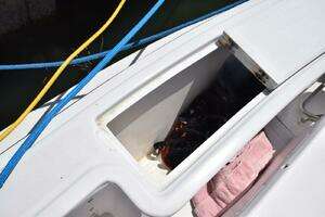 1976 Bertram Flybridge Cruiser thumbnail 52