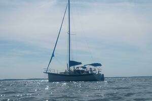 2005 Hake / Seaward thumbnail 9