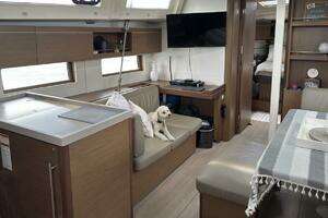 2020 Beneteau Oceanis 46.1 thumbnail 33
