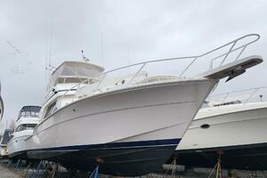 It is what it is  46ft Bertram Yacht For Sale