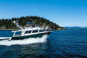 2009 Coastal Craft 400 IPS thumbnail 5