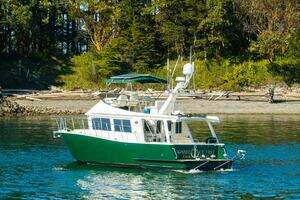 2009 Coastal Craft 400 IPS thumbnail 10