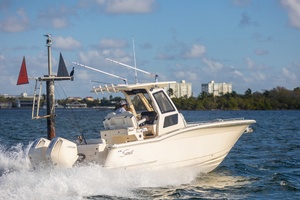 26ft Scout Yacht For Sale