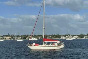Bees Knees 45ft Creekmore Yacht For Sale
