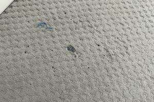 2002 Bennington 257L Pontoon Boat thumbnail 54