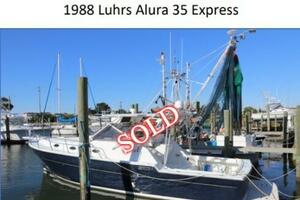 Picture of Karen Gayle