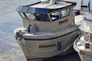 ALLIANCE Worth Avenue Yachts