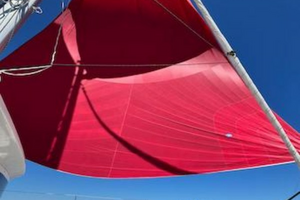 Used Sail Catamaran for sale