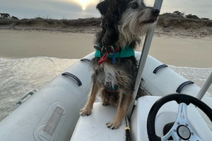 Used Sail Catamaran for sale