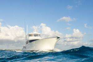 2025 Viking 82 Convertible thumbnail 86