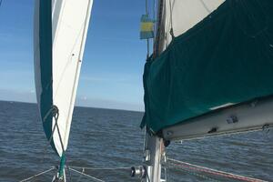 Vessel Image #9