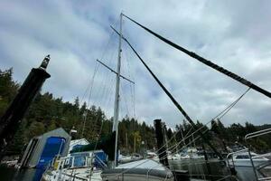43ft Custom Yacht For Sale