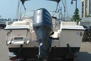 FIsh  amp  Chips 20ft Grady White Yacht For Sale