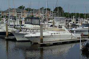 Endless Summer II 37ft Sea Ray Yacht For Sale