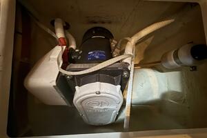 EMMA 49ft Carver Yacht For Sale