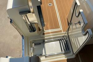 Chris Craft 30 Catalina- Folding Ladder