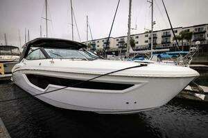 TRUE 2020 Cruisers Yachts  Yacht For Sale in  FL