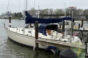 Puts N Calls 35ft Tartan Yacht For Sale