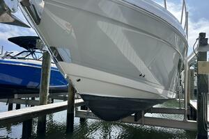 2020 Regal 33 XO 'Snuffleupagus'-Profile Bottom 