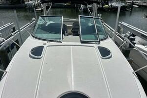 2020 Regal 33 XO 'Snuffleupagus'-Bow 