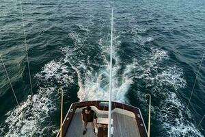 2014 Release 46 Custom Express Carolina thumbnail 47