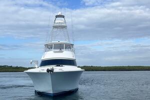 2005 Viking 74 Convertible 'Liquid Gold'