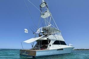 2005 Viking 74 Convertible 'Liquid Gold'