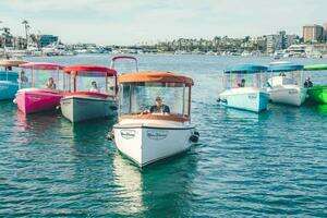 2024 Vision Fantail 217 thumbnail 11
