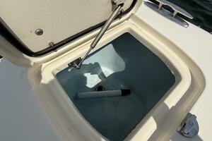 Aletha P LLC 30ft Grady White Yacht For Sale