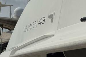 2018 Leopard Power Cat